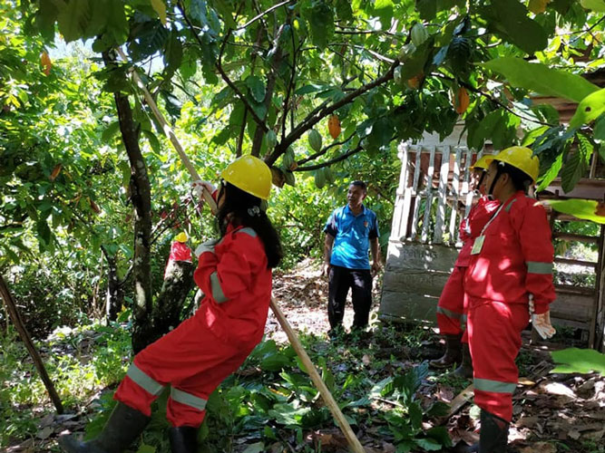 Tanaman Unggulan : Potensi Lokal Bernilai Ekonomi Tinggi yang Wajib Dikenal Siswa SMK 2 Sigi