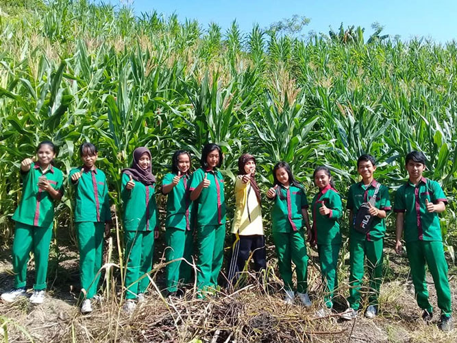 Belajar dari Alam : Praktik Lapangan Siswa SMK 2 Sigi untuk Pertanian yang Nyata